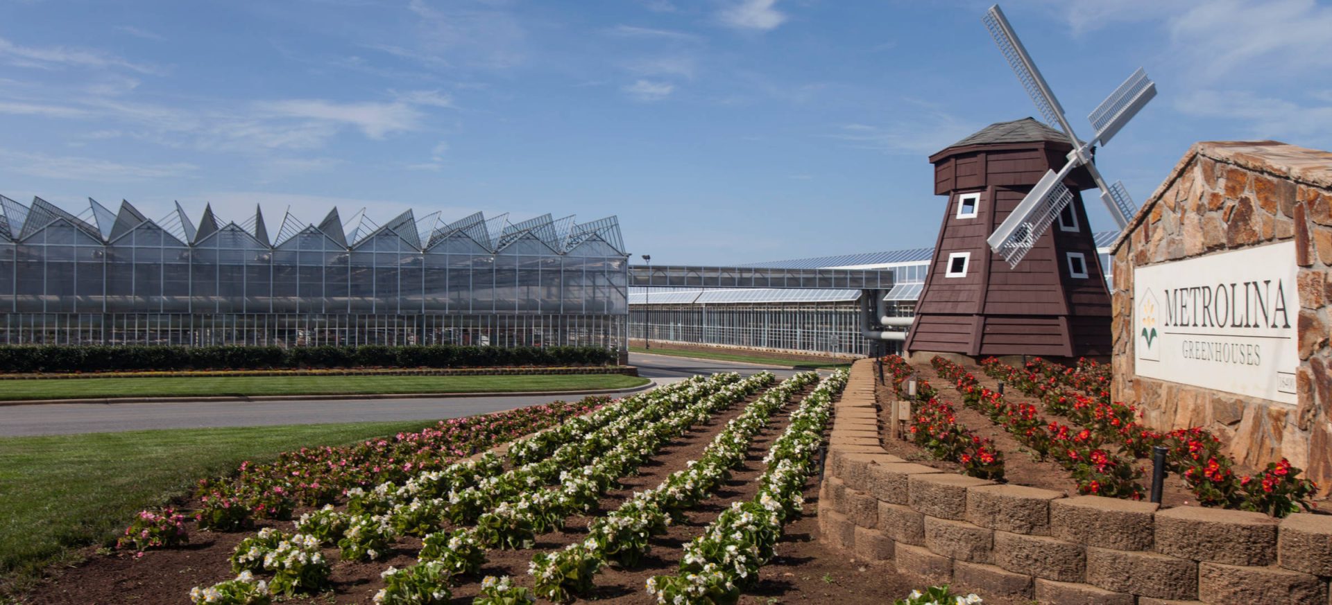 Metrolina Greenhouses Galvan