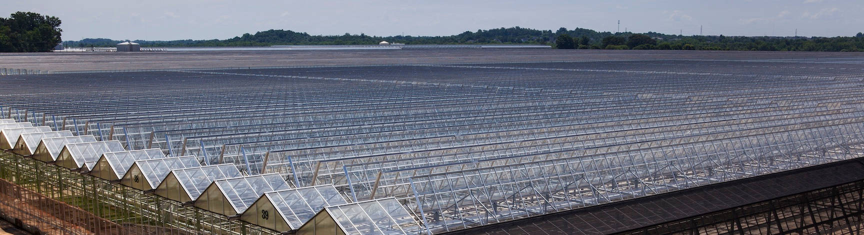 Metrolina Greenhouses Keeps Growing