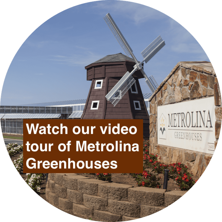 Metrolina Greenhouses Keeps Growing